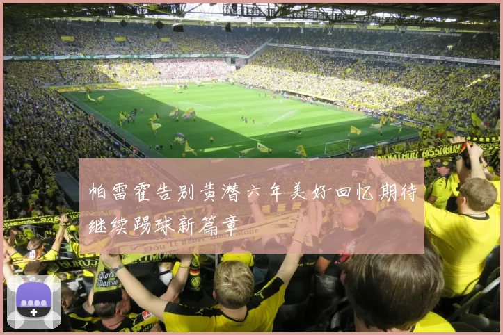 帕雷霍告别黄潜六年美好回忆期待继续踢球新篇章